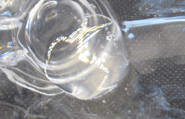 NILE 濃密泡 スカルプシャンプーの透明度