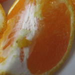 訳ありデコみかん（デコポン）