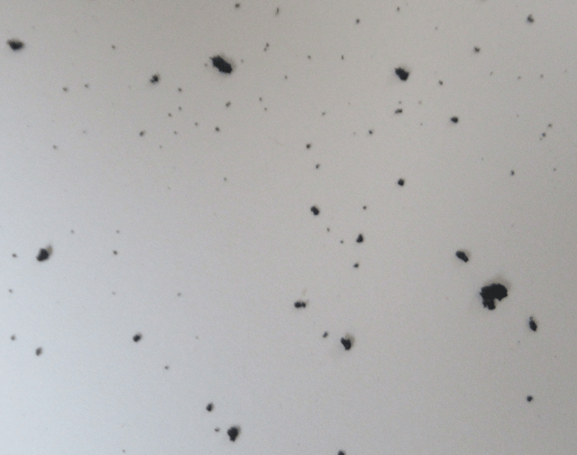 温泉ソックスから剥がれた生地